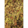 Живий мох Komodo Habitat Moss 100г 4.5л (83030)