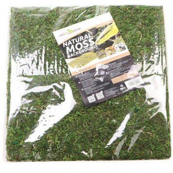 Фон з натурального моху Repti-Zoo Natural Moss Back & Bottom 30x30см 2 шт (NCM3030) для тераріуму-1