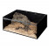 Тераріум з акрилу Repti-Zoo BlackBox 20x15x15см (ACR03B)