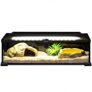 Тераріум Repti-Zoo Night Habitat 50x30x15см для нічних рептилій (AK08S)-1