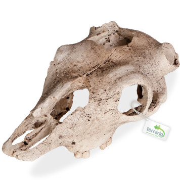 Декорація череп буйвола Terrario Buffalo Skull 21x12x8см (22128)-3