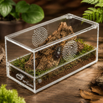 Террариум акриловый Repti-Zoo Easy Clean Acrylic ACR47 20×10×10 см для насекомых, пауков-3