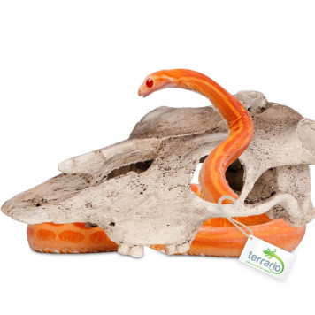 Декорація череп буйвола Terrario Buffalo Skull 21x12x8см (22128)-5