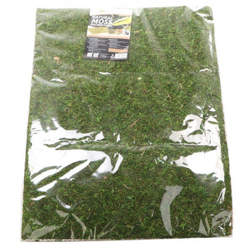 Фон з натурального моху Repti-Zoo Natural Moss Back & Bottom 50x25см 2 шт (NCM5025) для тераріуму-1