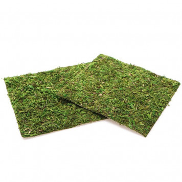 Фон з натурального моху Repti-Zoo Natural Moss Back & Bottom 20×20см 2 шт (NCM2020) для тераріуму-5