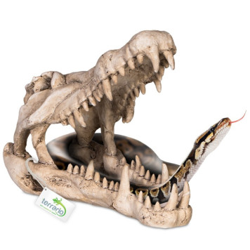 Декорація череп крокодила Terrario Crocodile Skull XL 23x11x16см (251115)-2