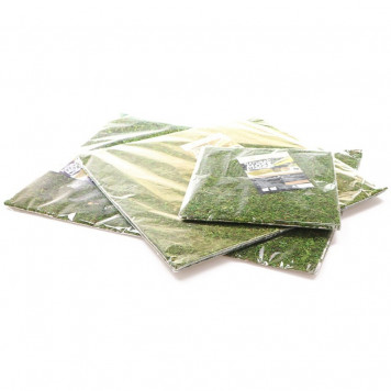 Фон з натурального моху Repti-Zoo Natural Moss Back & Bottom 20x30см 2 шт (NCM3020) для тераріуму-7