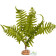 Штучна рослина, папороть Terrario 32x15x32см (330)