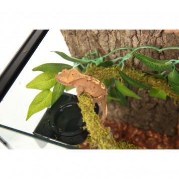 Ліана гнучка з натуральним мохом для тераріуму Repti-Zoo Artificial Moss Vine 1,5см x 2м (RV0215)-6