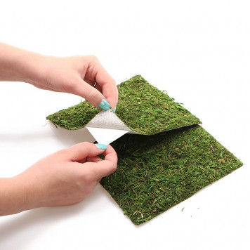 Фон з натурального моху Repti-Zoo Natural Moss Back & Bottom 20×20см 2 шт (NCM2020) для тераріуму-7