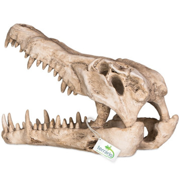 Декорація череп крокодила Terrario Crocodile Skull XL 23x11x16см (251115)-5