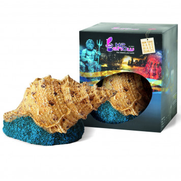 H2shOw KIT BOX ATLANTIS-6