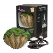 H2ShOw WONDER KIT - GREEN CLAM