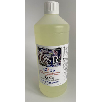 DSR EZ2Go (1000ml)