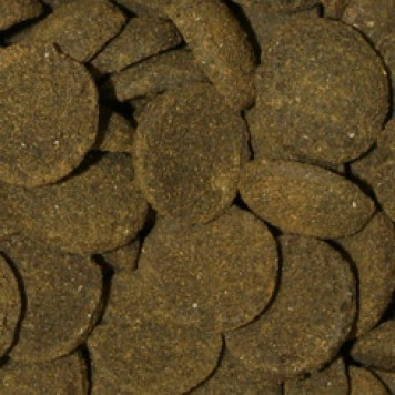 Omega One Veggie Rounds (113g)-1