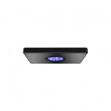 AQAMAI LRS (BLACK)-7