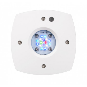 AI Prime 16HD (WHITE)