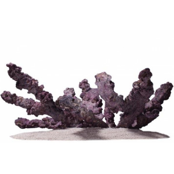 CaribSea LifeRock Belize Branch (1kg)-6