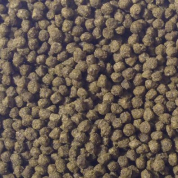 Omega One Veggie Kelp Pellets (226g)-1