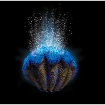 H2ShOw WONDER KIT - BLUE CLAM-2