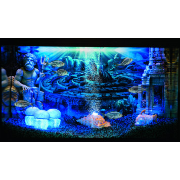 H2ShOw DEEP OCEAN-1