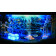 H2ShOw DEEP OCEAN
