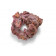 CaribSea LifeRock Donut (1 шт.)