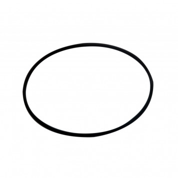 Прокладка 'O'RING для PRIME 20 (2 шт.)