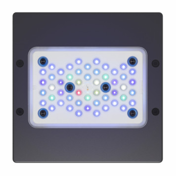 Ecotech Marine Radion XR15w G5 Blue