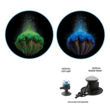 H2ShOw WONDER KIT - BLUE CLAM-1