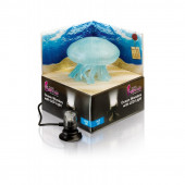 H2shOw OCEAN WONDERS: JELLYFISH