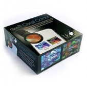 D-D Coral Colour Lens Gen2