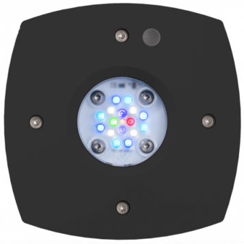 AI Prime 16HD (BLACK)