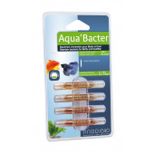 Prodibio Aqua'Bacter