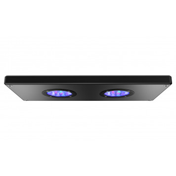 AQAMAI LRM (BLACK)