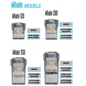 SICCE WHALE 120-13
