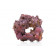 CaribSea LifeRock Donut (1 шт.)