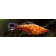 Prodibio Worms & Parasites Fresh