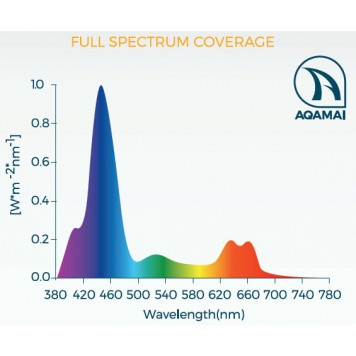 AQAMAI LRM (WHITE)-5