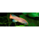 Prodibio Spots & Velvets Fresh