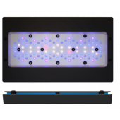 Ecotech Marine Radion XR30 G6 Blue