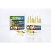Prodibio BioDigest 6