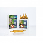 Prodibio BioDigest PRO