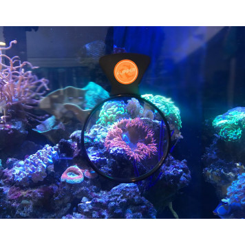 FLIPPER DEEPSEE VIEWER-3
