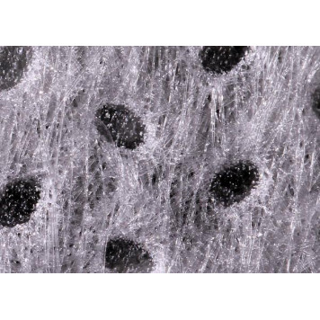 ClariSea SK-3000XL Fleece-2