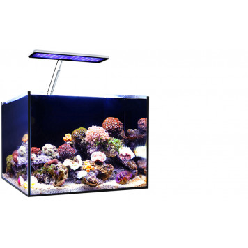 Micmol Aqua CC (Marine)-1