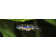 Prodibio Worms & Parasites Fresh